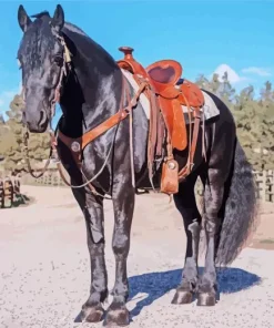 Black western horse Diamond Paintings