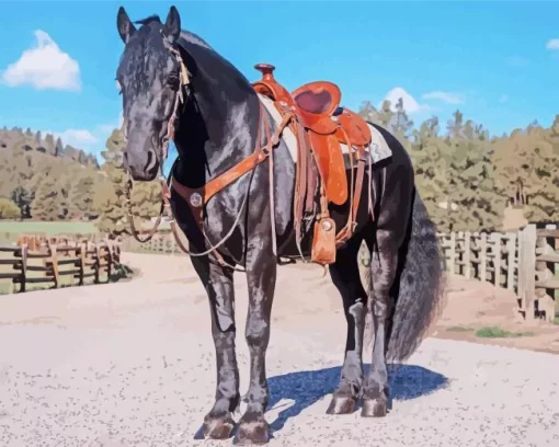 Black western horse Diamond Paintings