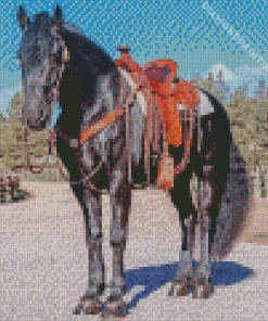 Black western horse Diamond Paintings