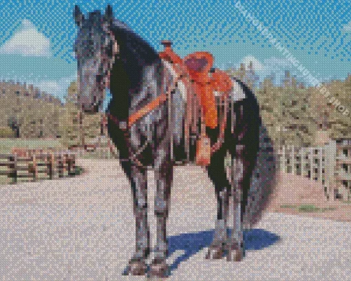 Black western horse Diamond Paintings