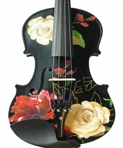 Floral black violin Diamond Paintings