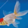 Oranda Goldfish Diamond Paints