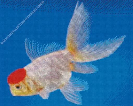 Oranda Goldfish Diamond Paints