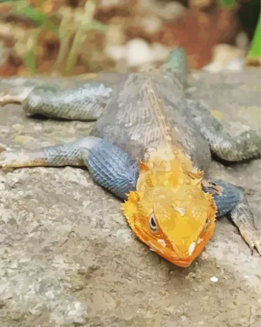 Orange Agama Diamond Paintings