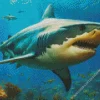 The Great White Shark Diamond Paintings