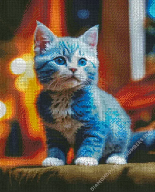 blue eyed baby grey cat Diamond Paintings