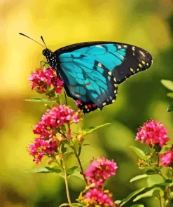 blue monarch butterfly Diamond Paintings