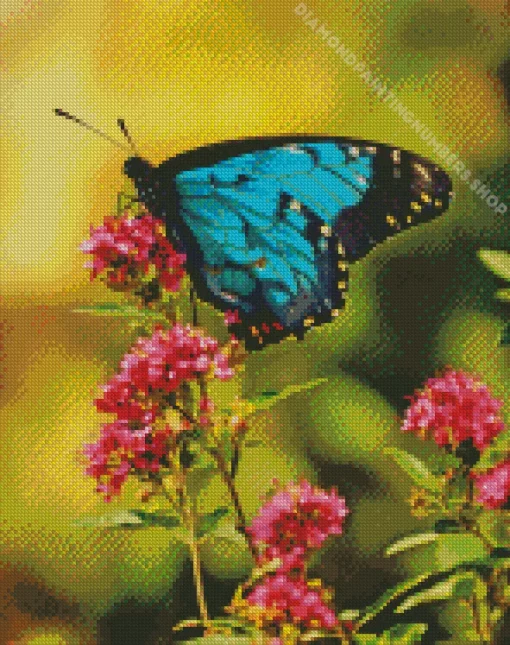 blue monarch butterfly Diamond Paintings