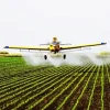 crop duster aiplane Diamond Paintings