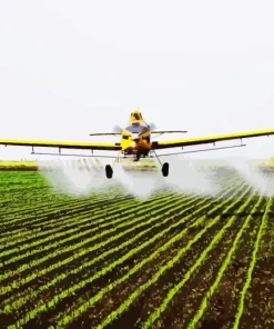 crop duster aiplane Diamond Paintings