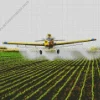crop duster aiplane Diamond Paintings