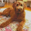 f1 goldendoodle red Diamond Paintings
