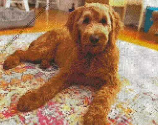 f1 goldendoodle red Diamond Paintings