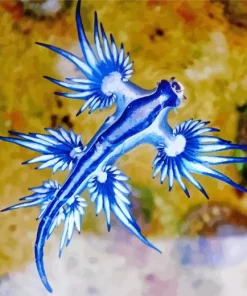 glaucus atlanticus Diamond Paintings