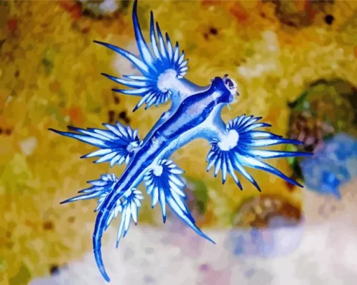 glaucus atlanticus Diamond Paintings