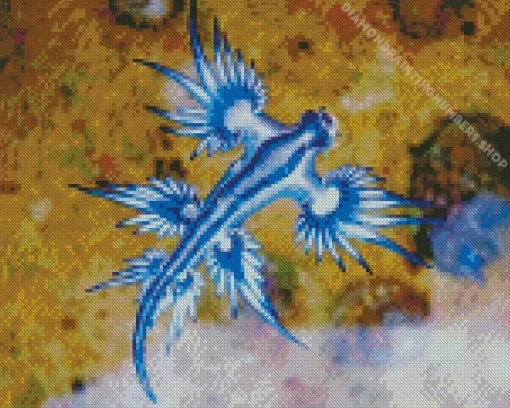 glaucus atlanticus Diamond Paintings