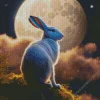 grey hare full moon Diamond Paintings