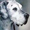 monochrome speckled great dane Diamond Paintings