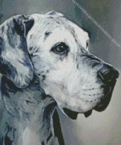 monochrome speckled great dane Diamond Paintings