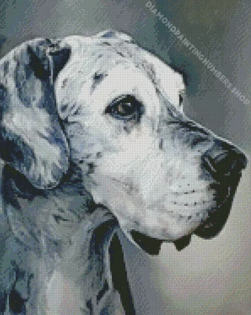 monochrome speckled great dane Diamond Paintings