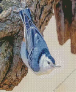 nuthatch female bird Diamond Paintings