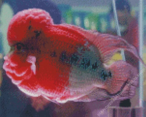 pink fish Diamond Paintings