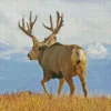 Barbary stag Diamond Paintings