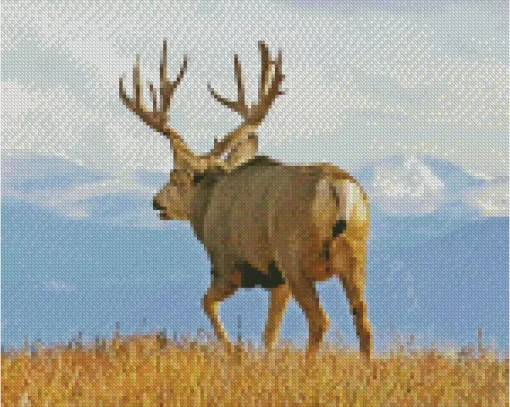 Barbary stag Diamond Paintings