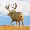 Barbary stag Diamond Paintings