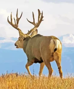 Barbary stag Diamond Paintings