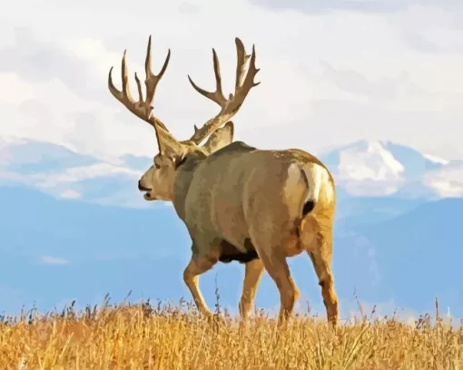 Barbary stag Diamond Paintings