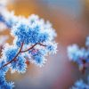 Frost on branches Diamond By Numbers