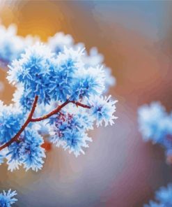 Frost on branches Diamond By Numbers