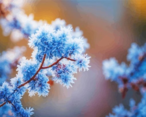 Frost on branches Diamond By Numbers