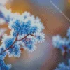 Frost on branches Diamond By Numbers