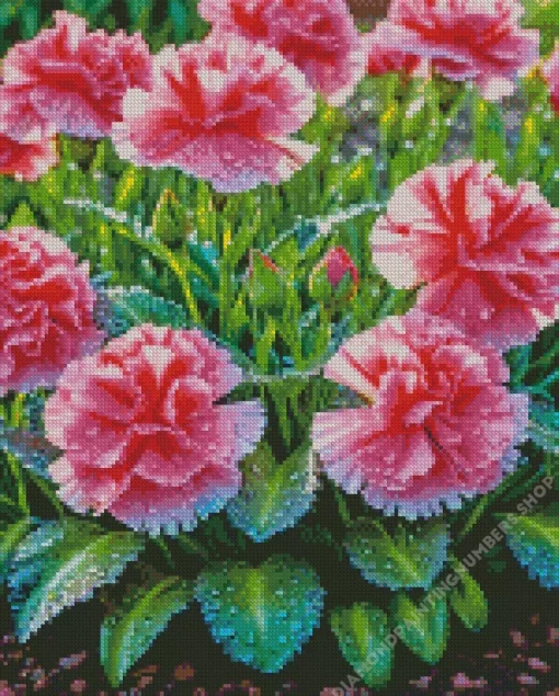 Pink blooming carnation Diamond Paintings