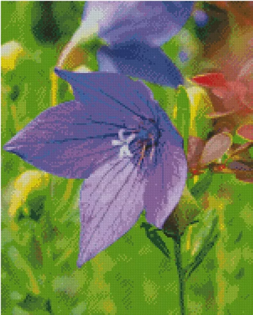 Platycodon grandiflorus Diamond Paintings