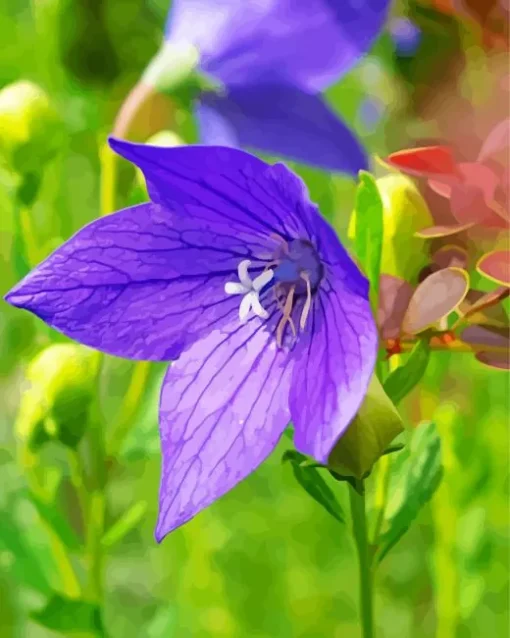 Platycodon grandiflorus Diamond Paintings