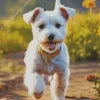 White affenpinscher Diamond Paintings