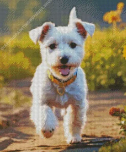 White affenpinscher Diamond Paintings