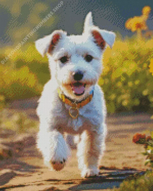 White affenpinscher Diamond Paintings