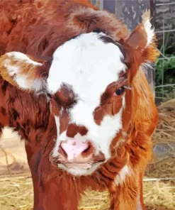 baby brown and white cow Diamond With Numbers