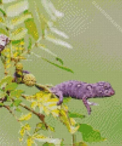 baby chameleon Diamond By Numbers