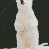 baby knut polar bear Diamond With Numbers