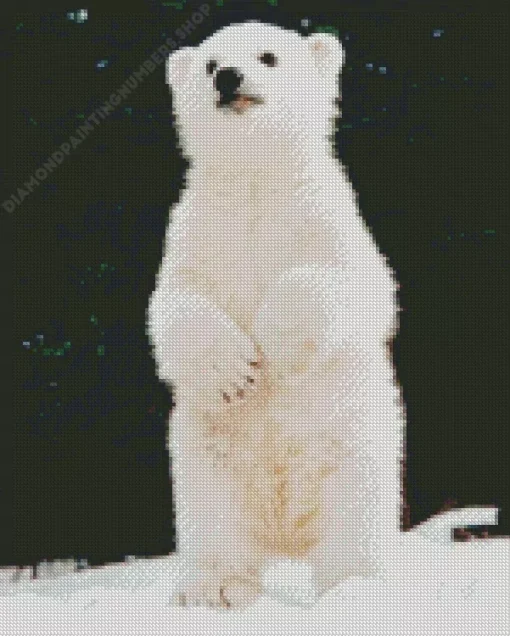 baby knut polar bear Diamond With Numbers