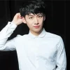 bai jingting Diamond Paintings