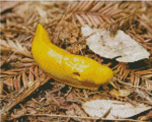 banana slug Diamond Paintings