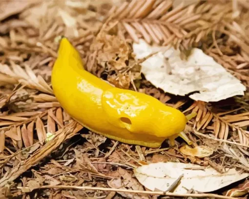banana slug Diamond Paintings