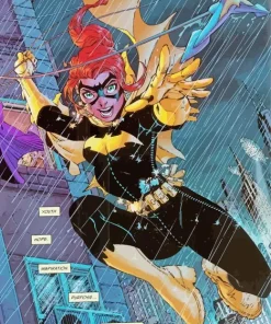 barbara gordon Diamond Paintings