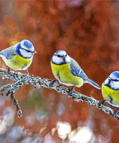 birds blue eurasian Diamond By Numbers